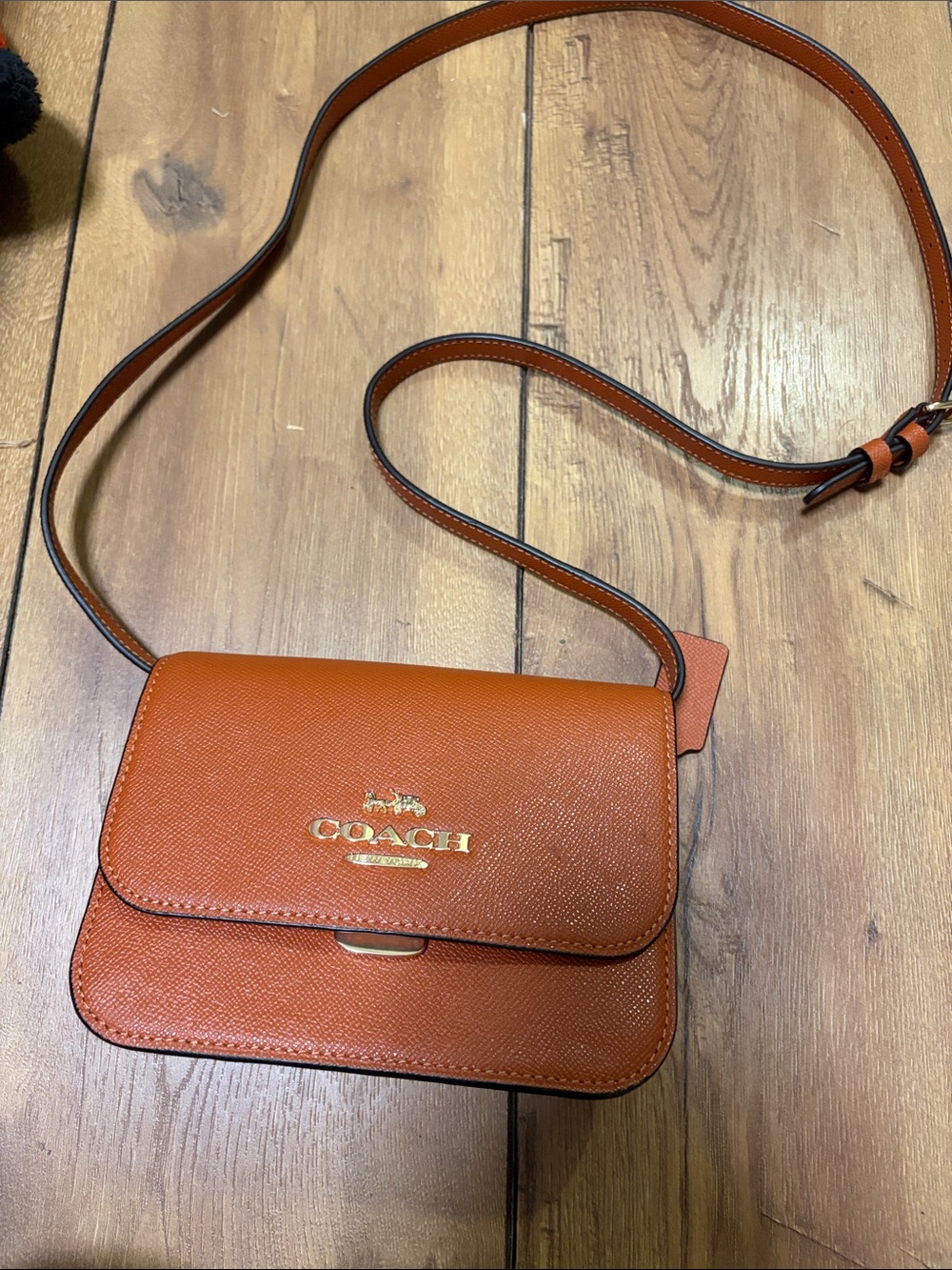 Coach Pebbled Leather Crossbody in Burnt Orange with Gold Hardware - Picture 1 of 9